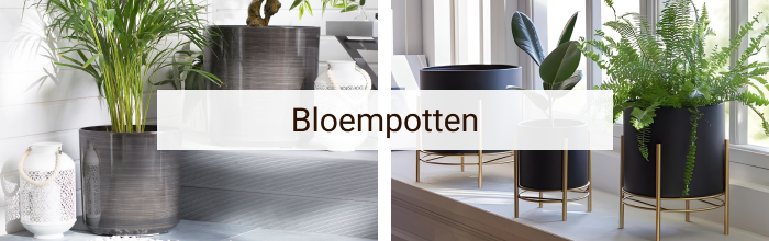 Bloempotten - Category of the Month